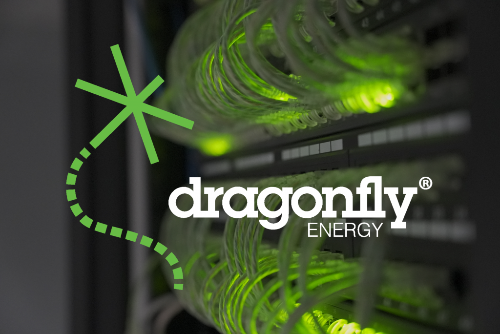 Dragonfly Energy Is Seizing A Lucrative Niche EV And Lithium-Ion Energy Market Opportunity ($DFLI)
