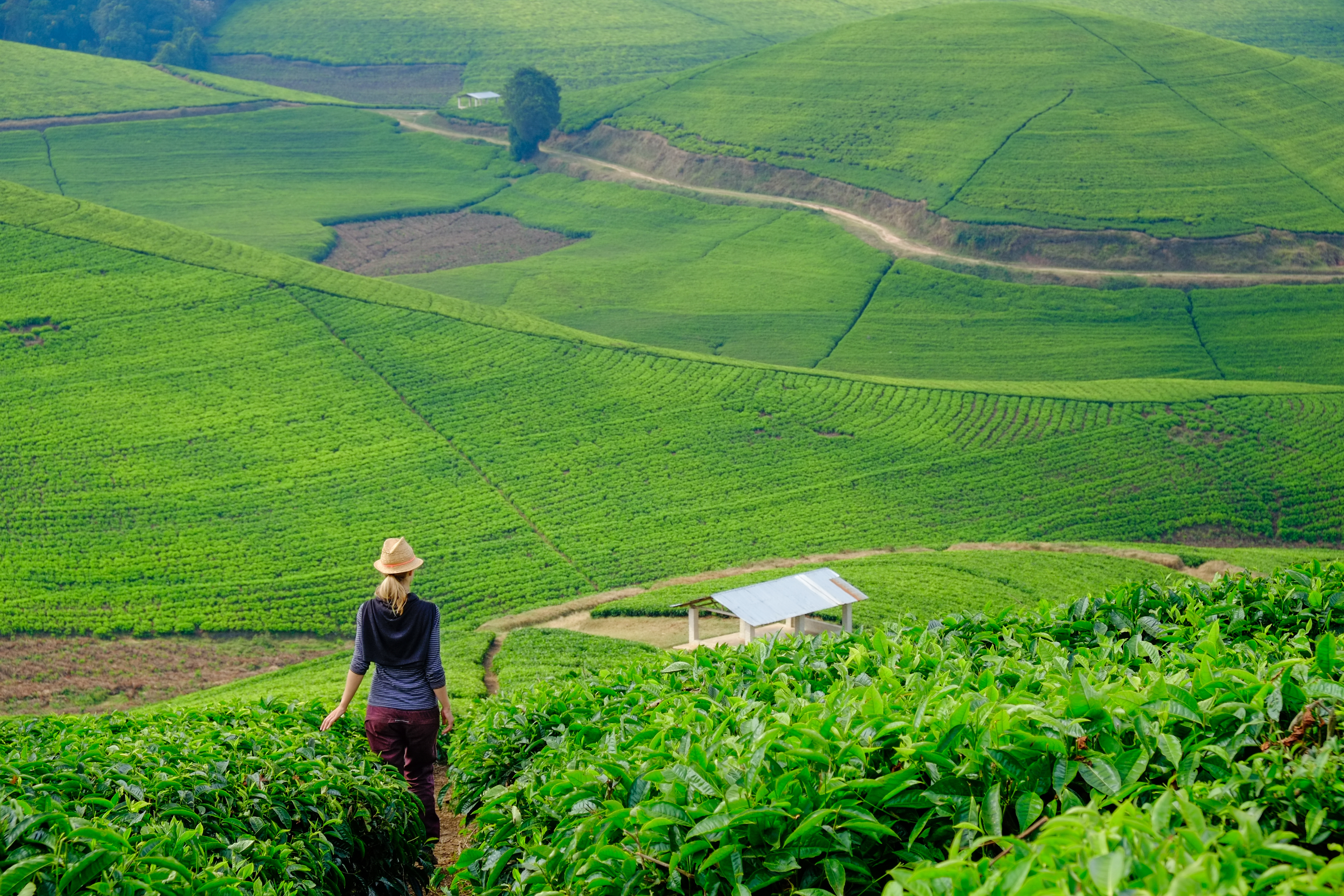 Augustine Tours’ Newly Launched Rwanda Burundi Tour Itinerary To Discover the Enchanting Cultures and Traditions