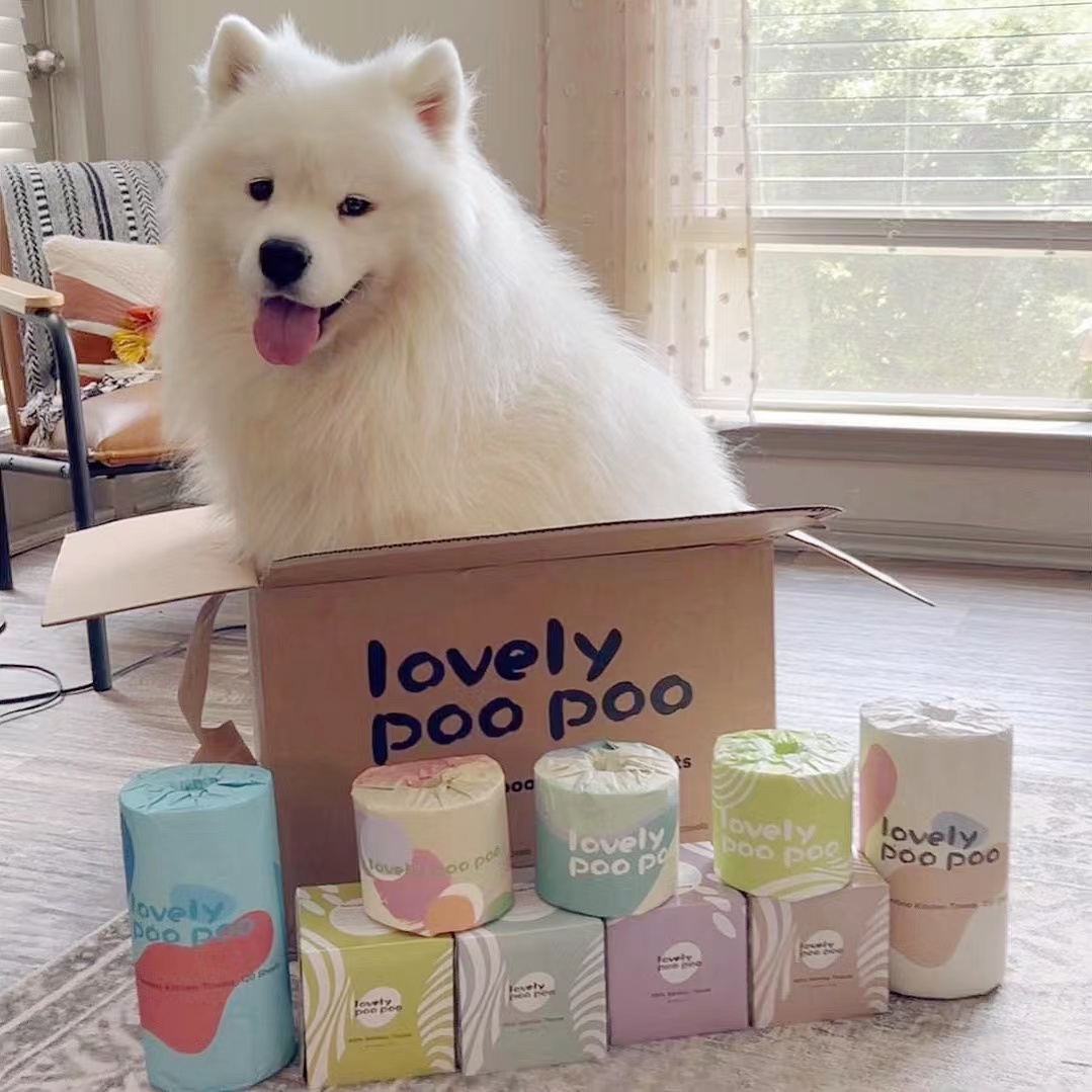 LOVELYPOOPOO Launches Convenient Subscription Services for Paper Towels, Toilet Rolls, and Bamboo Toilet Paper