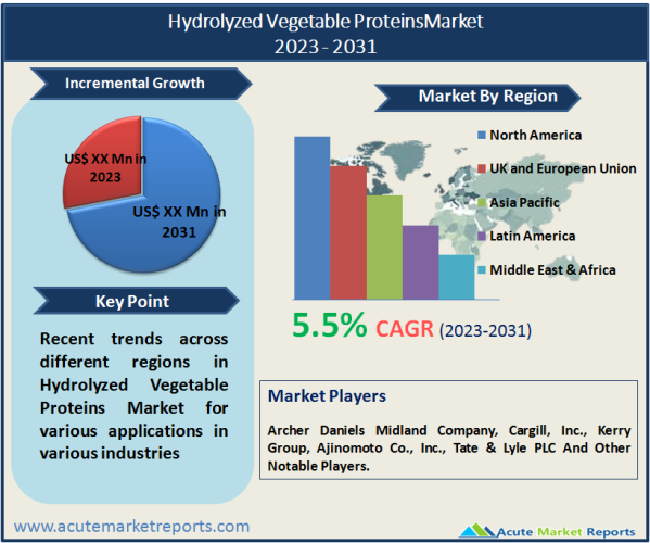 Hydrolyzed Vegetable Proteins Market, Size, Share, Growth And Forecast To 2031