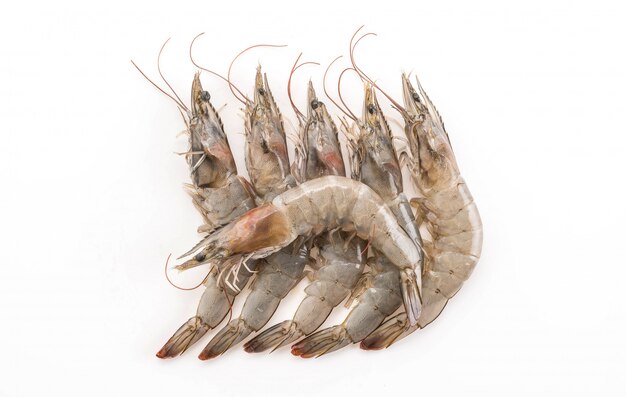 Global Shrimp Market to Grow Rapidly at a CAGR of 5.2% by 2030 | DataM Intelligence