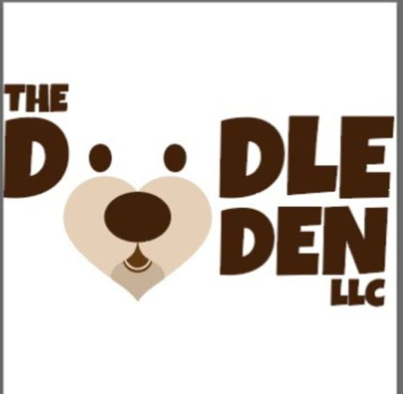 From Rehabilitation to Retail: The Inspiring Story Behind The Doodle Den LLC's Success