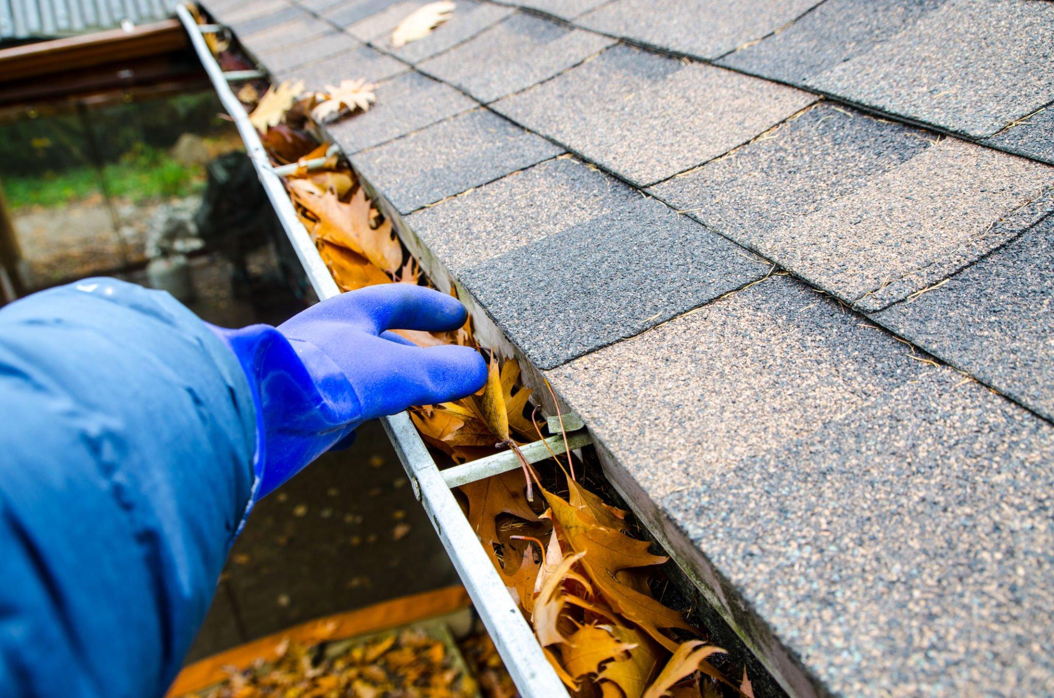 Effective Maintenance: Services for Residential Gutter Cleaning