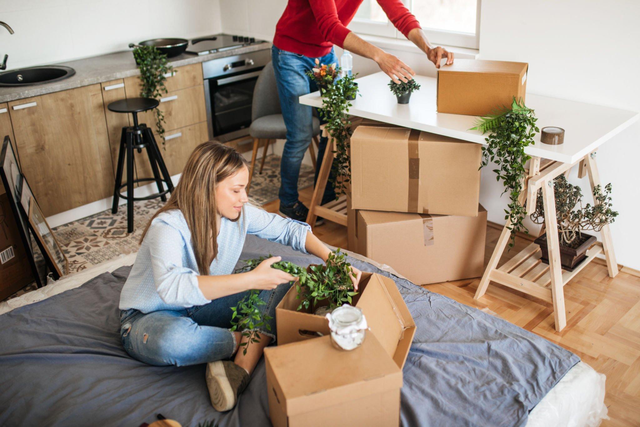 Seamless Moving with A2B Movers San Jose: The Complete Relocation Partner