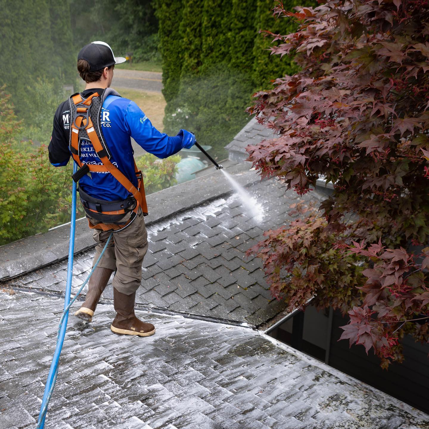 Mt. Baker Window Cleaning: The Premier Roof Cleaning Company in Bellingham, WA