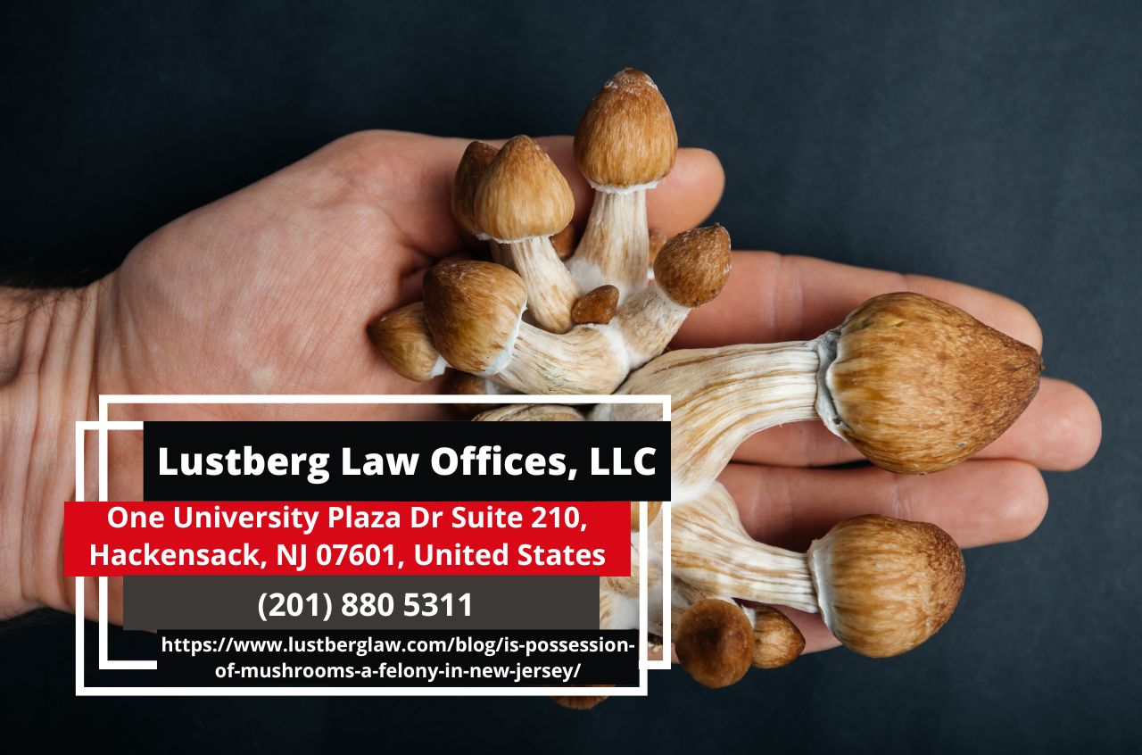 New Jersey Drug Crimes Lawyer Adam M. Lustberg Releases In-depth Article on Mushroom Possession Laws