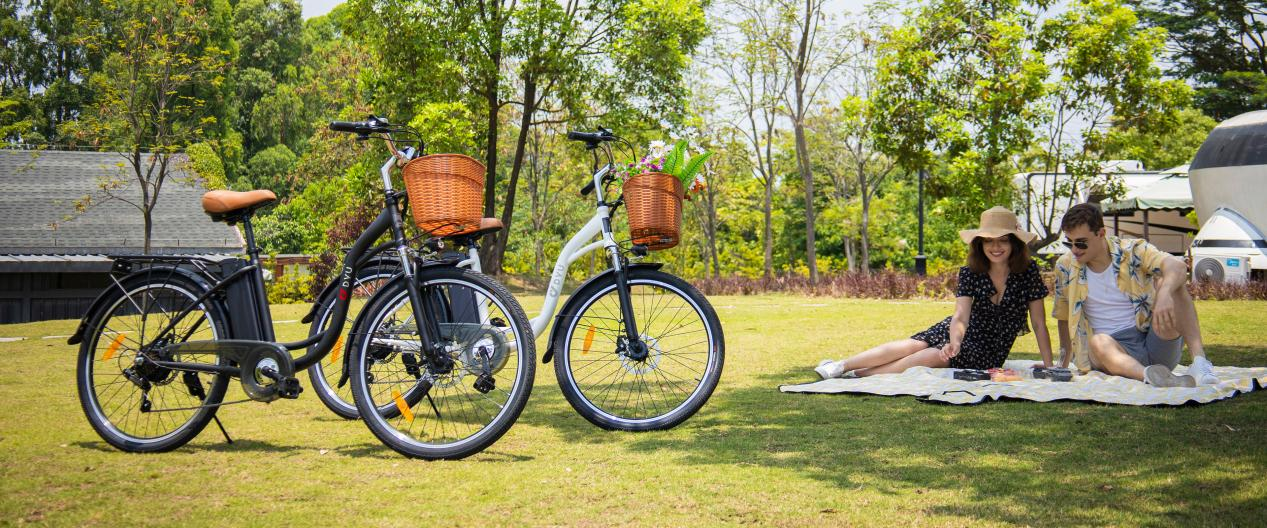 DYU C6 electric bike: a new era of choice for urban mobility