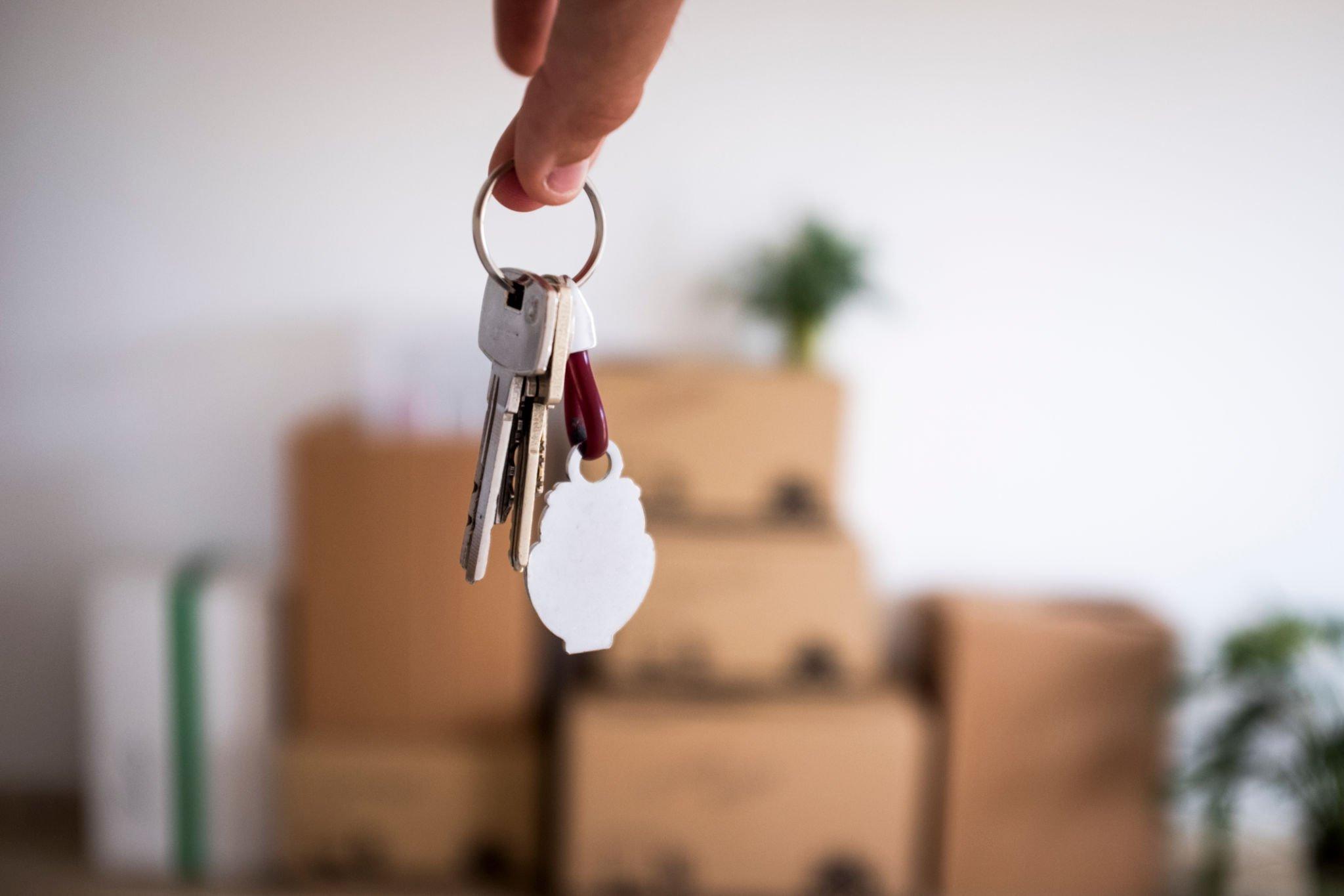 Unparalleled San Jose Moving Services: The Unwavering Ally for a Flawless Relocation
