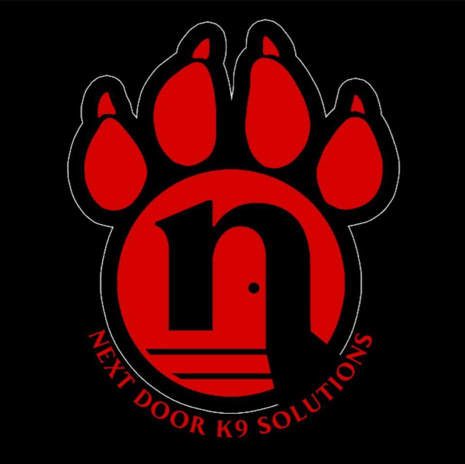 Next-Door K9 School For Dog Trainers: Empowering Canine Communication and Building Stronger Bonds