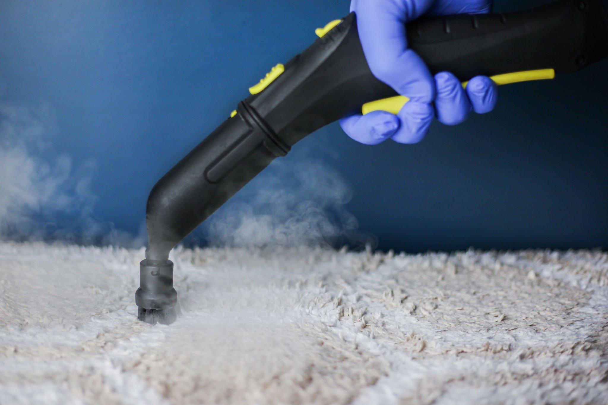 Priority Carpet Cleaning Redefines Excellence in Residential Carpet and Rug Cleaning