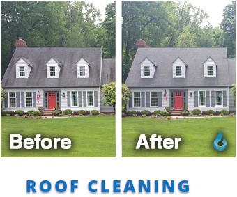 Understanding the Importance of Roof Cleaning for Essex Homes