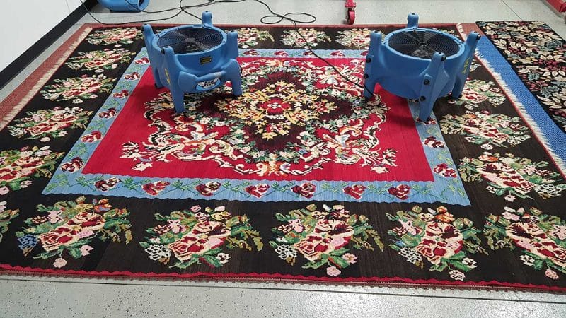 Preserving Elegance: The Expertise Behind Oriental Rug Cleaning Services in Lake Zurich