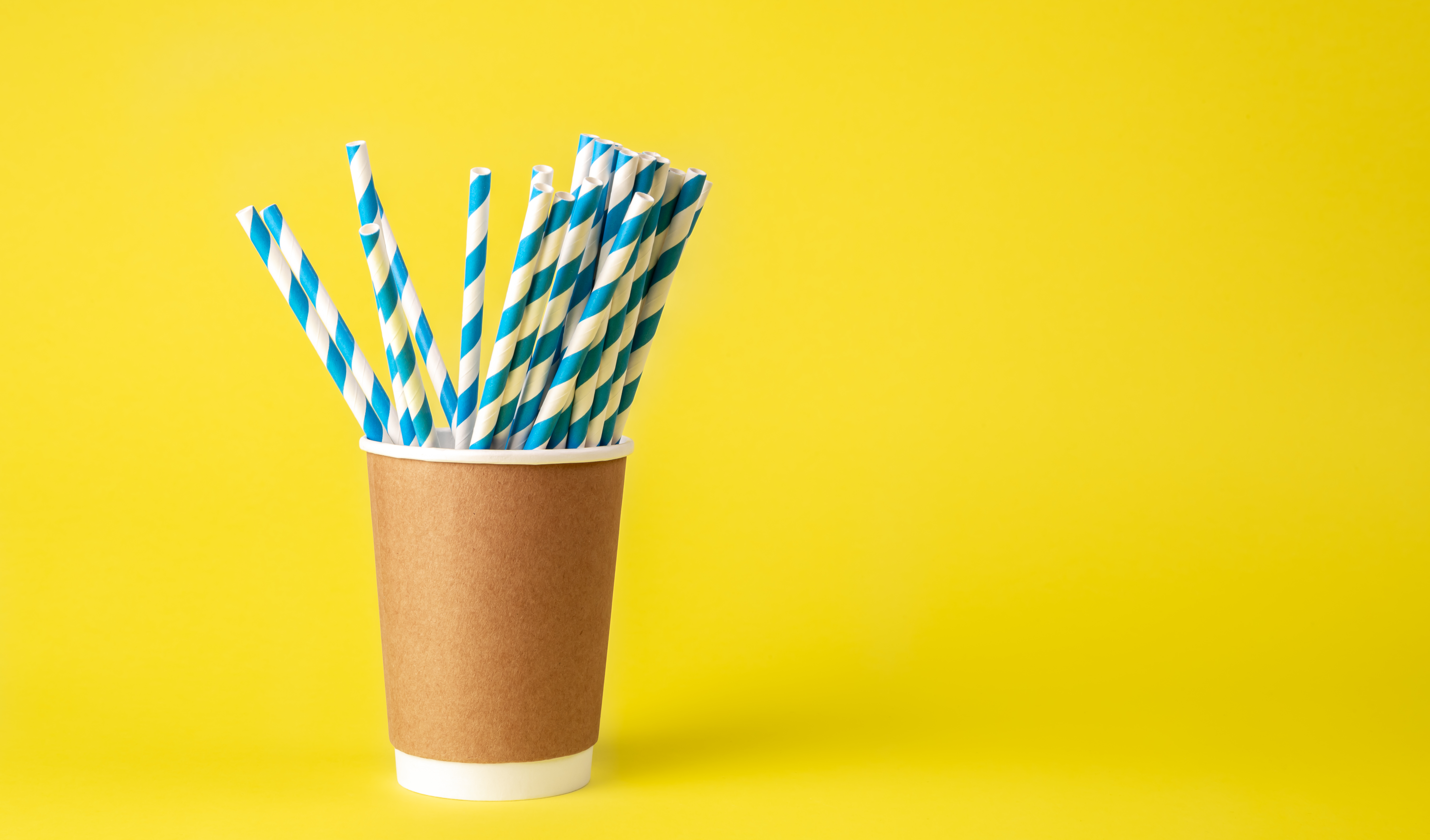 Biodegradable Straws Market Size, Share, Industry Trends And  Forecast 2024-2031