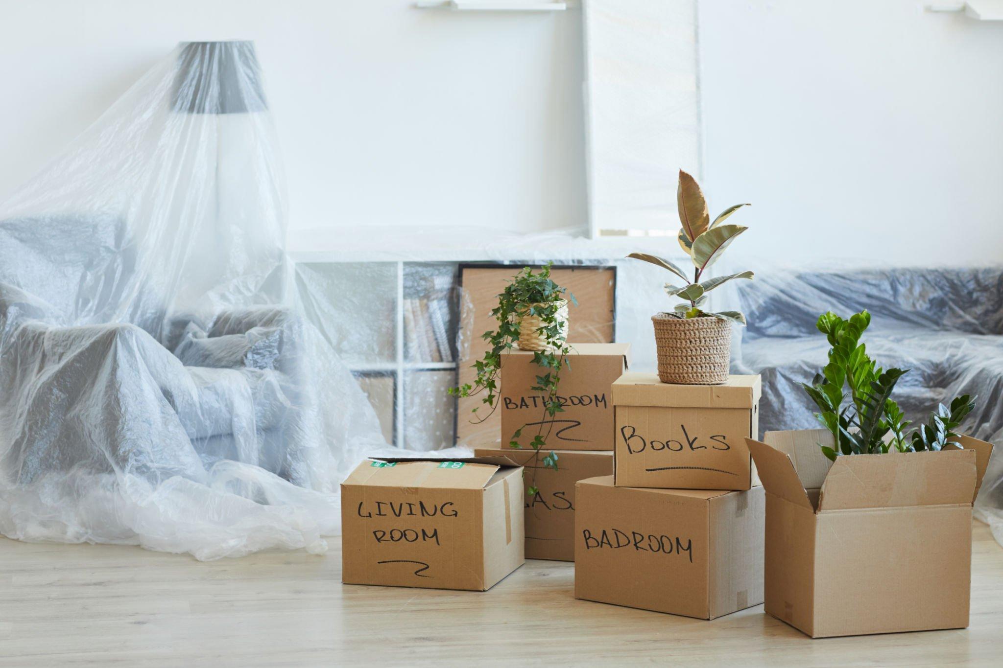 Ease the Stress of Relocation with Austin Melrose Movers and Packers Local & Long Distance Moving Company