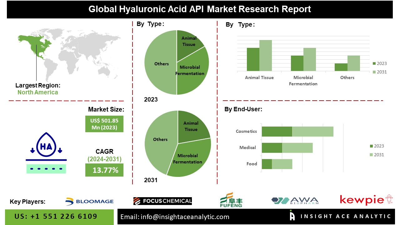 Hyaluronic Acid API Market Research Explores Revenue Share Study Analysis Report