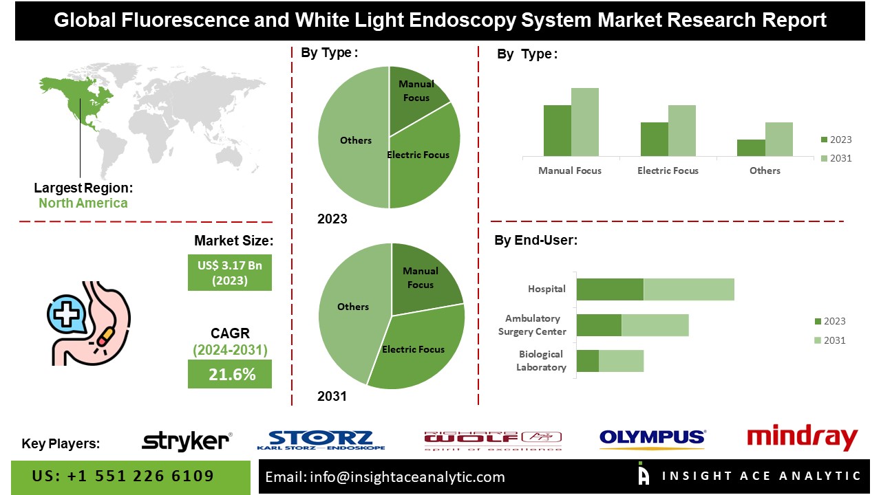 Fluorescence and White Light Endoscopy System Market 2024-2031