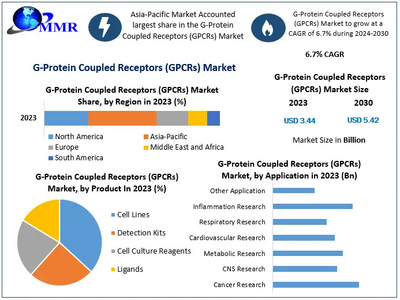 G Protein Coupled Receptors (Gpcrs) Market to Hit USD 5.42 Bn at a growth rate of 6.7 percent - Says Maximize Market Research