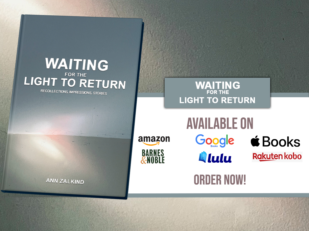 Introducing "Waiting For The Light To Return" By Ann Zalkind