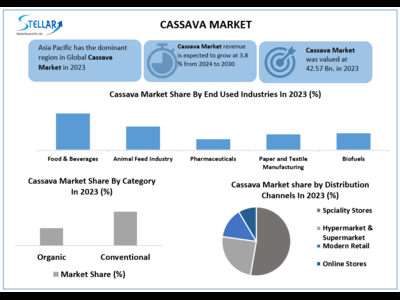Cassava Market to reach USD 55.27 Bn at a CAGR of 3.8 percent over the forecast period (2024-2030)