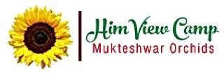 HimView Camp Mukteshwar in Nainital Unveils Seasonal Adventure Packages for 2024