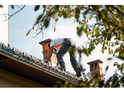 Pine Tree Exteriors Shakes Up West Chester With Exceptional Roofing Services