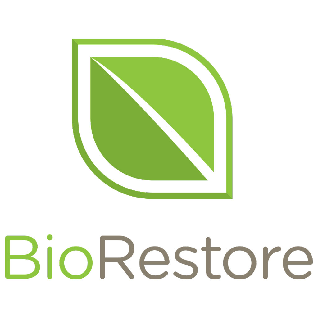 Leading Asbestos Removal Services in Atlanta, GA: BioRestore Asbestos & Mold Sets the Standard