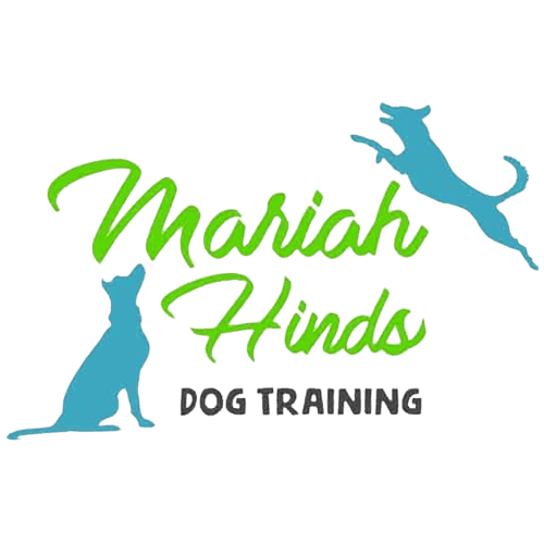 Mariah Hinds Dog Training Offers Premier Dog Training Services in Charlotte, NC