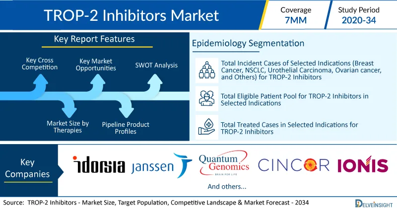 TROP-2 Inhibitors Market to Grow at a decent CAGR during the Study Period (2020–2034) by DelveInsight | Datopotamab deruxtecan, MK-2870/SKB-264, DB-1305/BNT325, and BIO-106