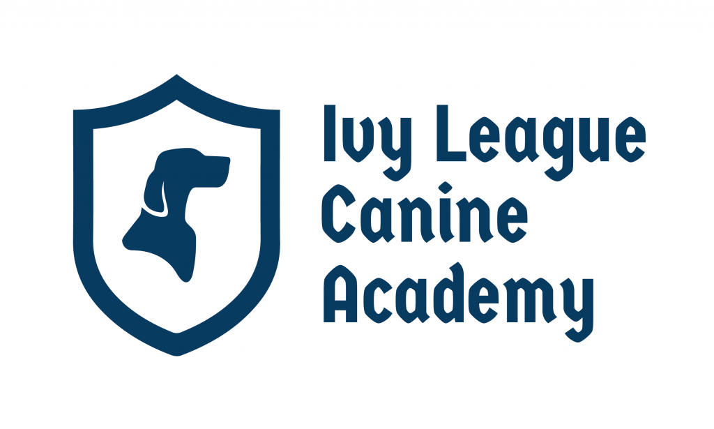 Ivy League Canine Academy Revolutionizes Dog Training in San Antonio