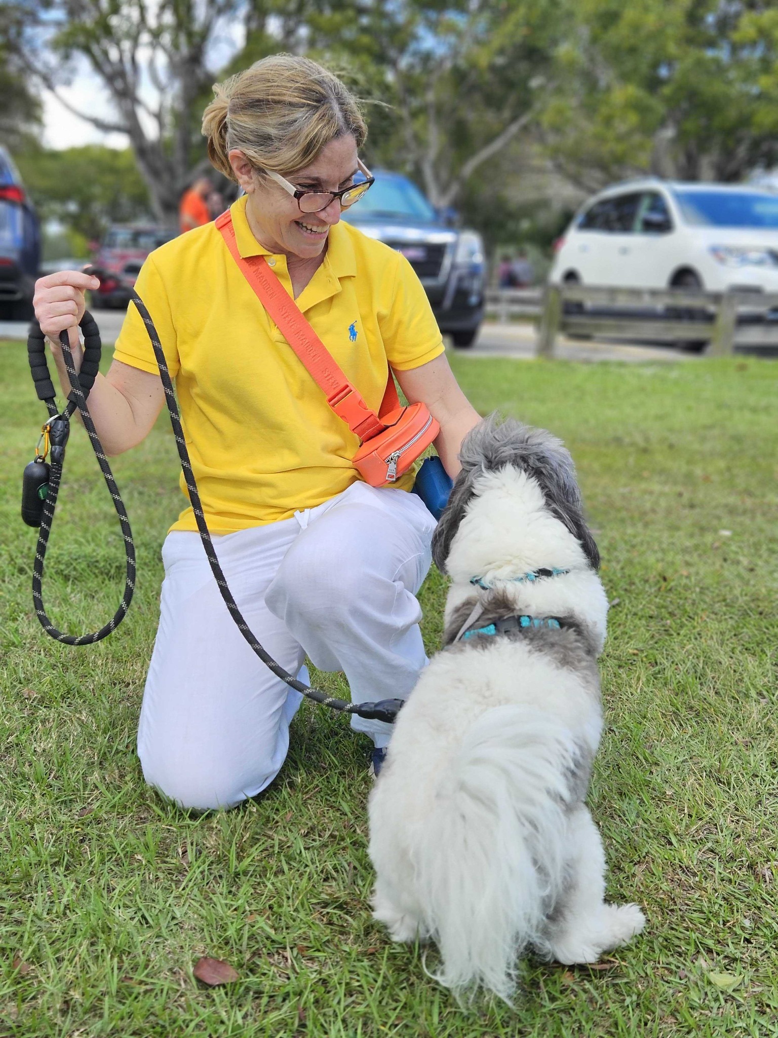 Happy with Dogs Launches Innovative Dog Training Program in Miami