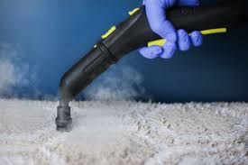 Experience Unparalleled Cleanliness with Priority Carpet Cleaning: Expert Carpet and Hardwood Floor Cleaning Specialists