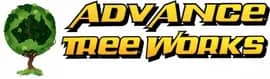 Advance Tree Works Named the Best Tree Service in Hervey Bay for 2024