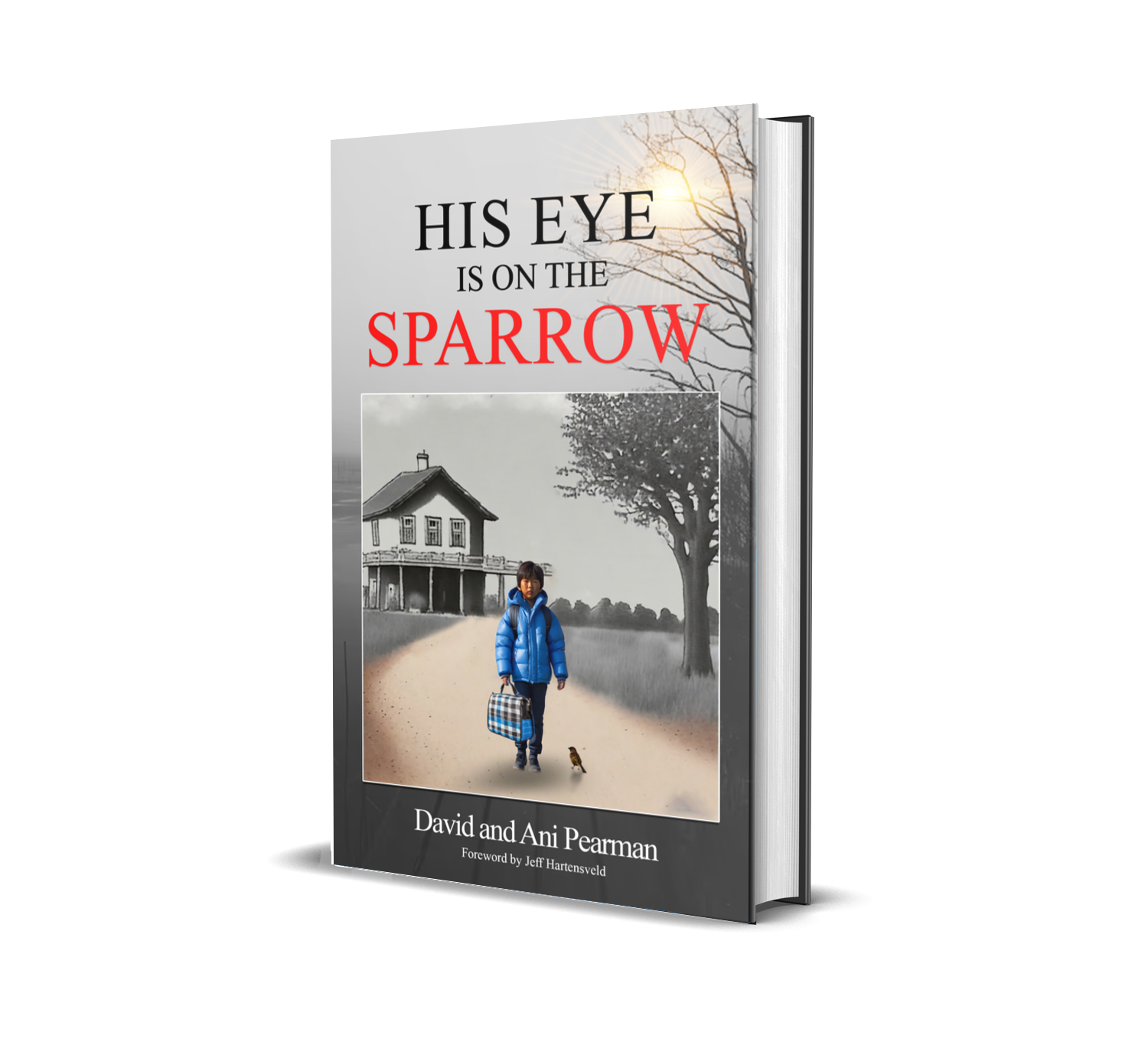 His Eye is on the Sparrow - A Remarkable Story of Resilience, By David & Ani Pearman
