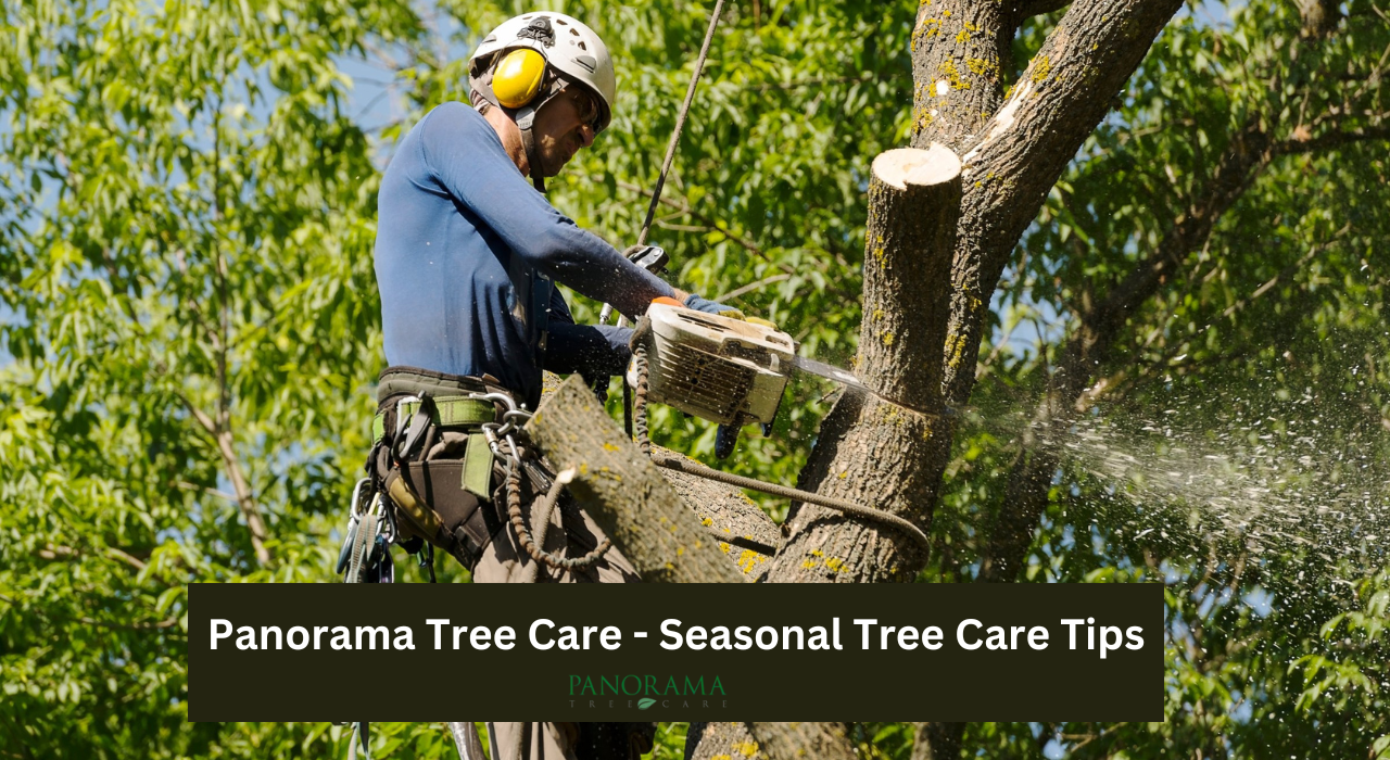 Panorama Tree Care Offers Expert Seasonal Tips for Year-Round Tree Health in Florida