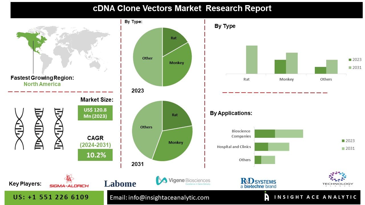 cDNA Clone Vectors Market is on the Upward Growth - Here's Why