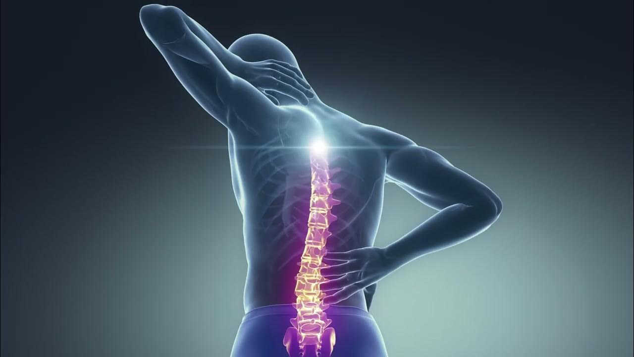 Revolutionary Chiropractic Services Transform Recovery for Work and Auto Injuries