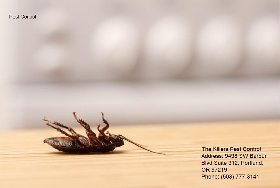 The Killers Pest Control: Marking 42 Years of Service Excellence in Portland
