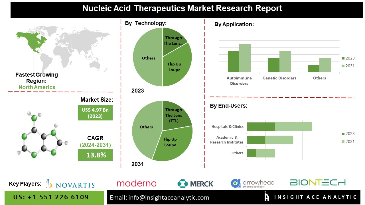 Nucleic Acid Therapeutics Market Investments Study Analysis 2024-2031 