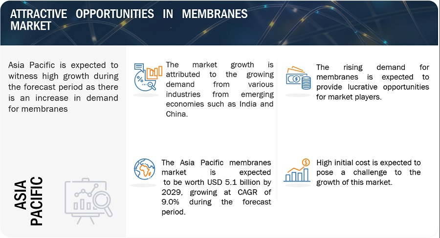 Membranes Market Size, Growth, Opportunities, Top Manufacturers, Trends, Key Segments, Regional Analysis, and Forecast to 2029