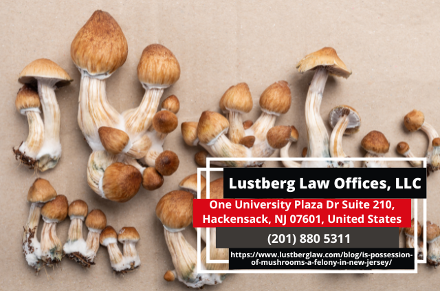 New Jersey Drug Crimes Lawyer Adam M. Lustberg Releases Insightful Article on Mushroom Possession Laws