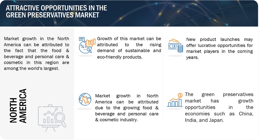 Green Preservatives Market Trends, Opportunities, Share, Key Segmentation, Regional Growth, Top Companies, and Forecast to 2028