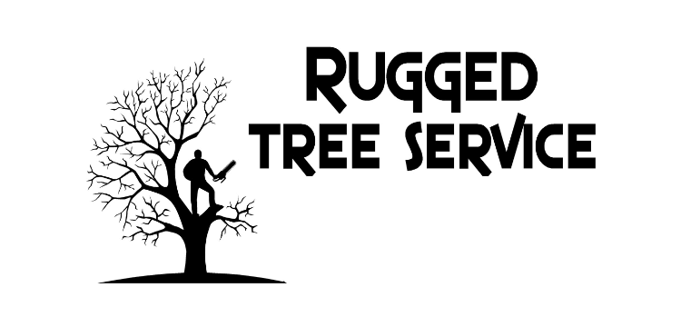Rugged Tree Service Announced Affordable Tree Maintenance Packages for Homeowners