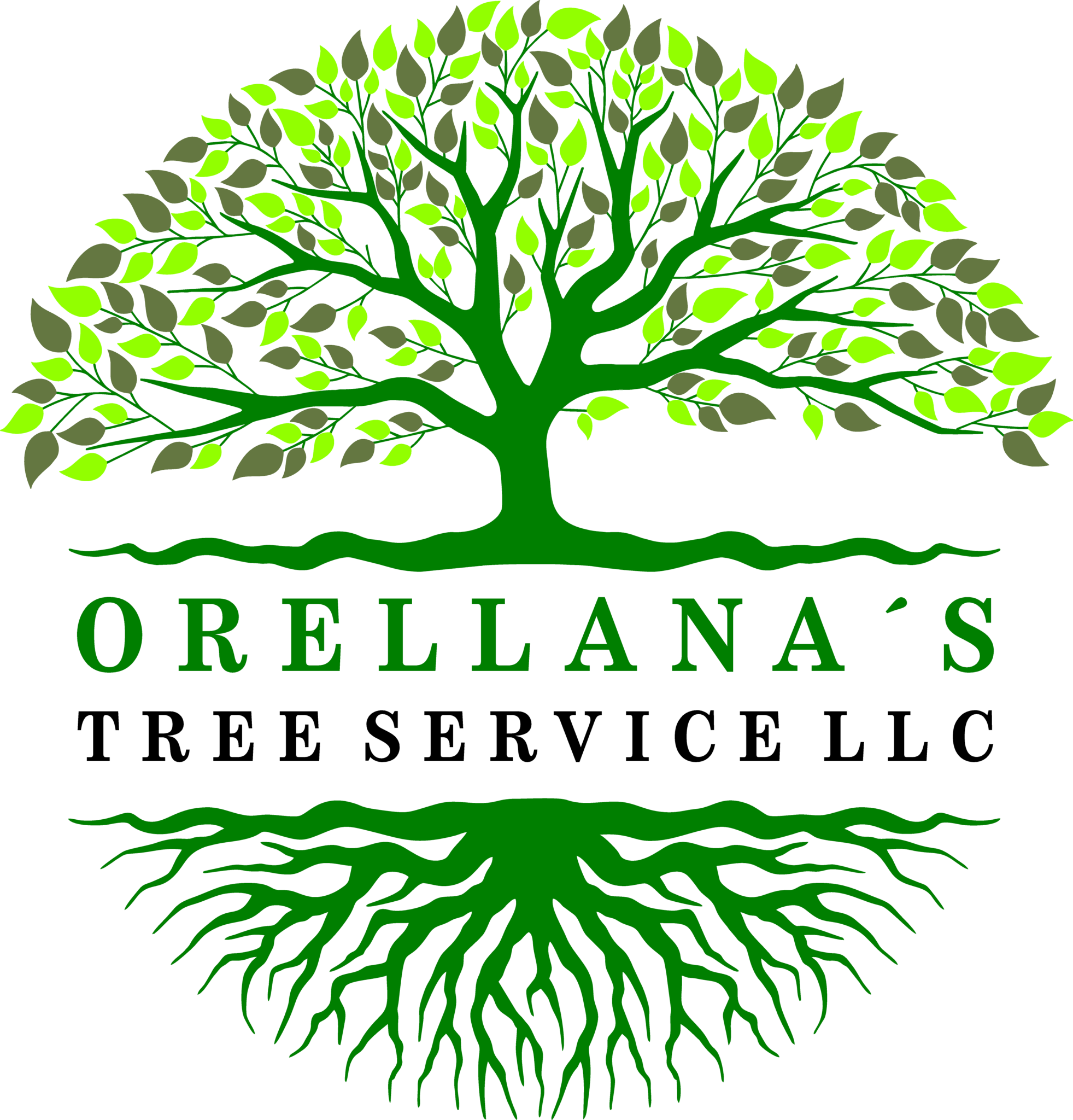 Orellana Tree Service: Trusted Partner for Residential and Commercial Tree Care in Baltimore