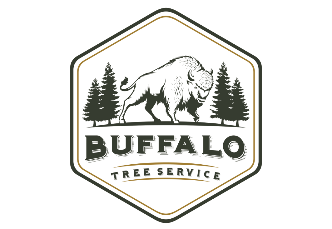 100 Reviews and Counting: Buffalo Tree Service Sets New Standard for Quality