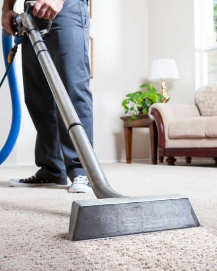 Discover the Difference with CarpetCleanersPlus: Advanced Carpet Cleaning Solutions