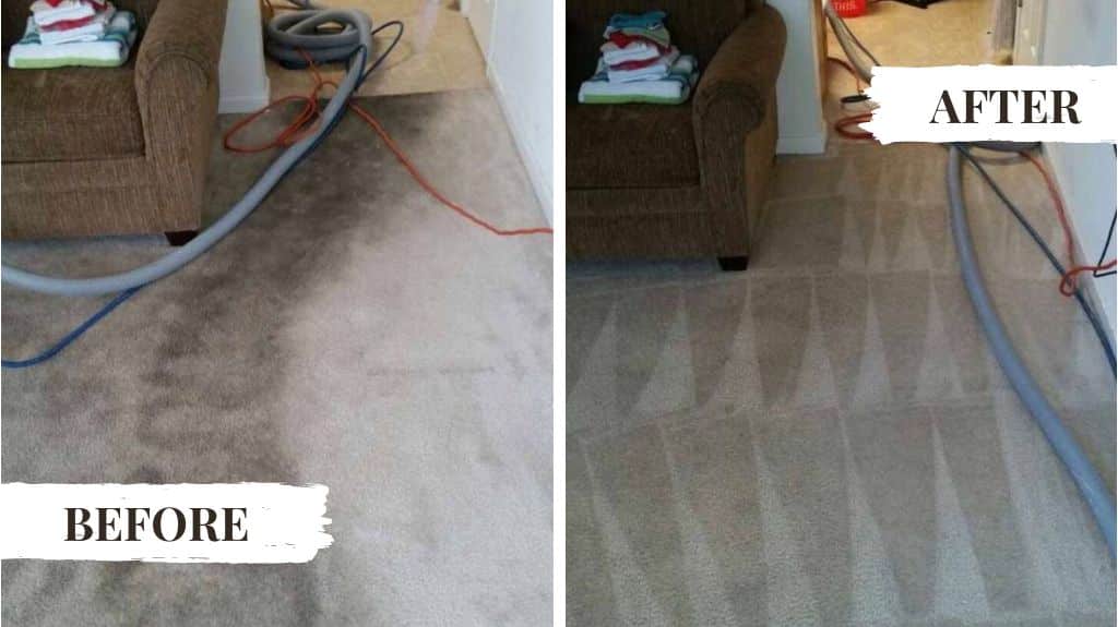 Achieve Spotless Carpets with CarpetCleanersPlus' Premier Carpet Cleaning Services