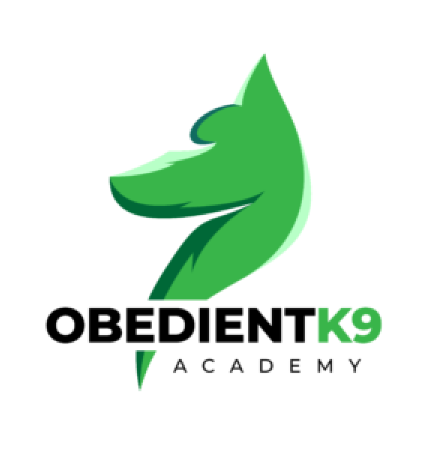 Obedient K9 Academy: Charlotte's Premier Customized Dog Training Service