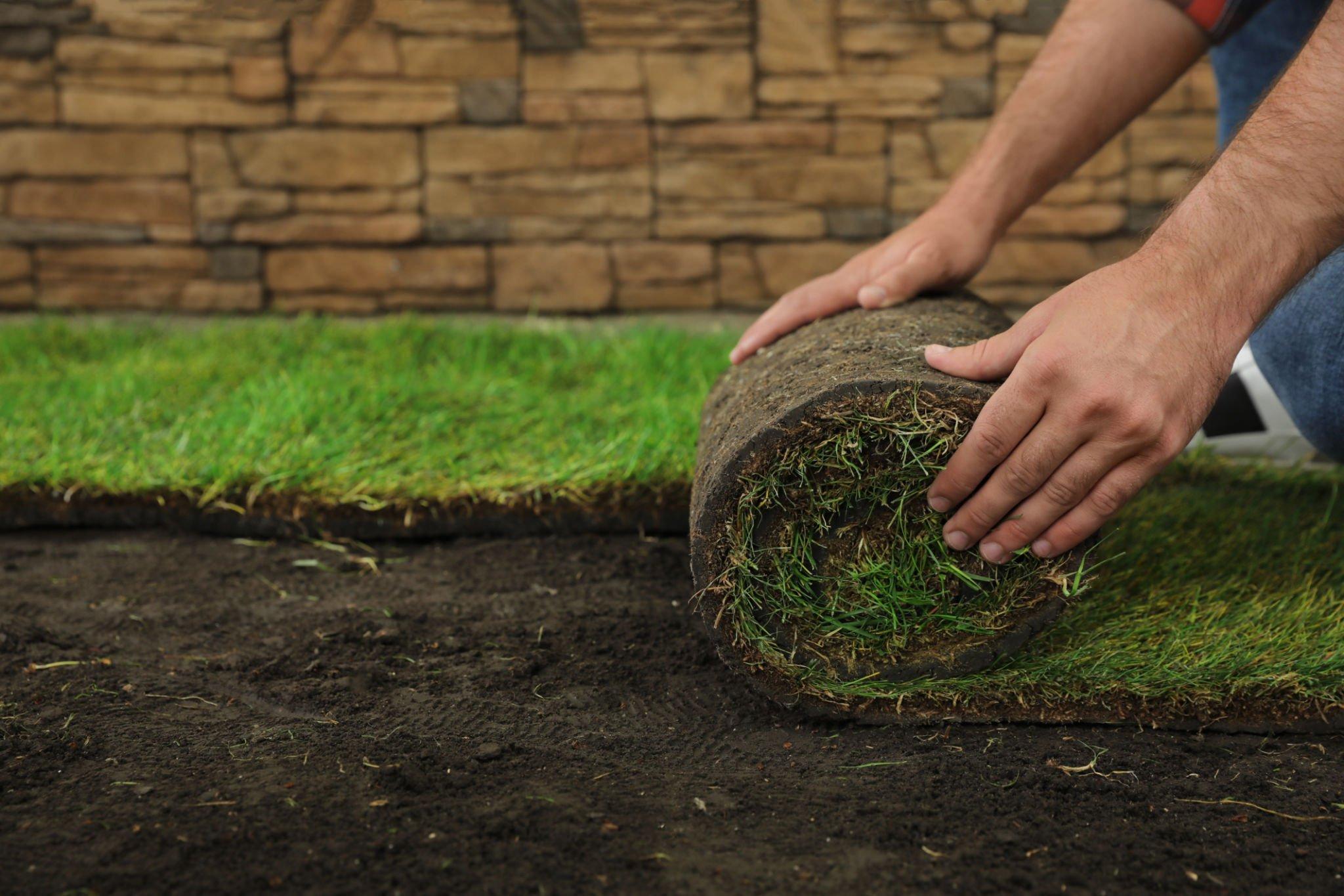 Always Green Turf AZ Revolutionizes Outdoor Spaces with Premium Artificial Turf and Installation Services