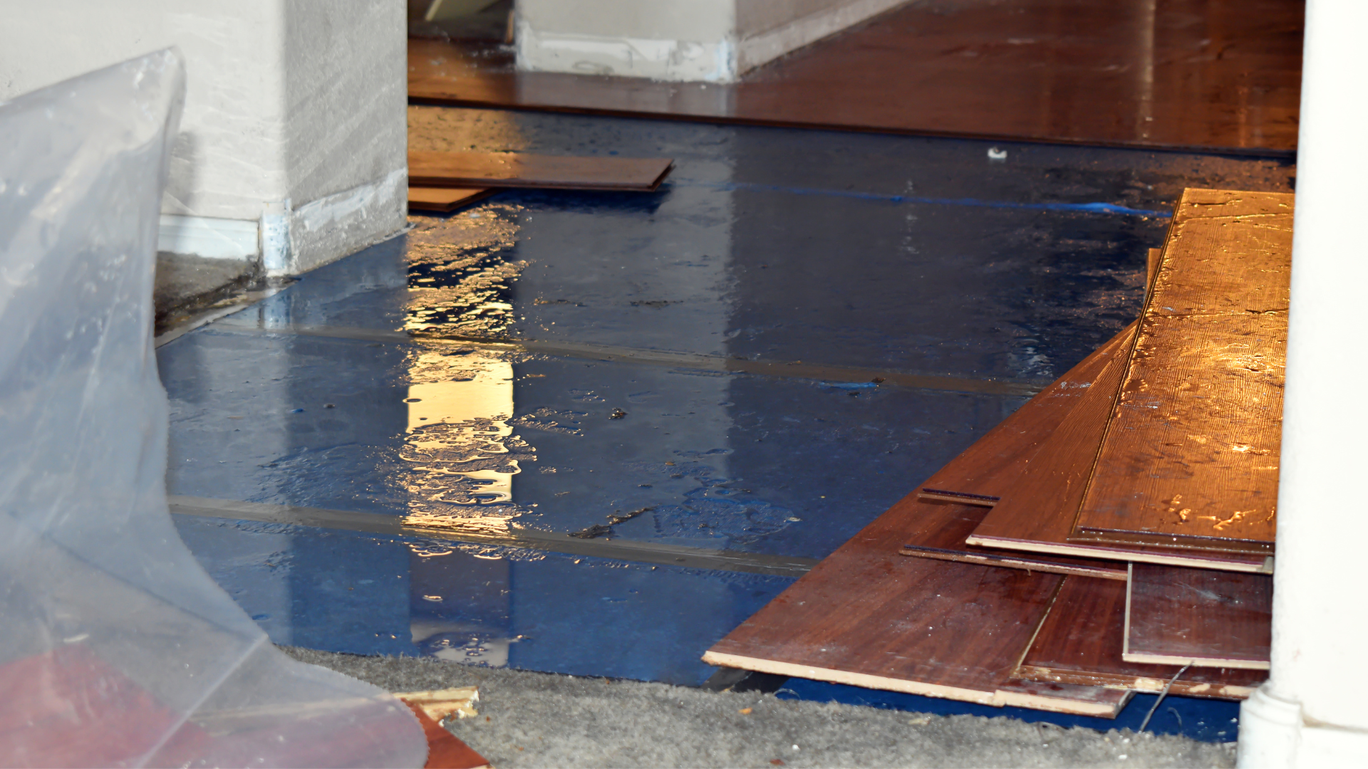 Redefined Restoration - Chicago Water Damage Services Announces Comprehensive Water Damage Restoration Solutions