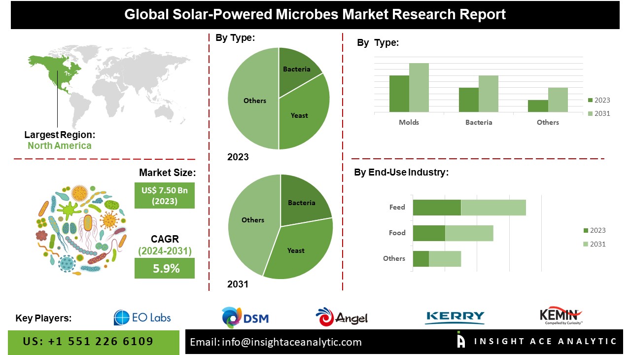 Solar-Powered Microbes Market Analysis 2024: Trends, Growth, and Forecast